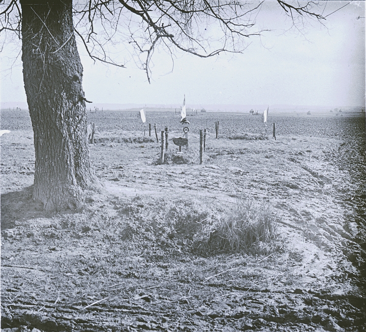 Box 15 Image 15.jpg